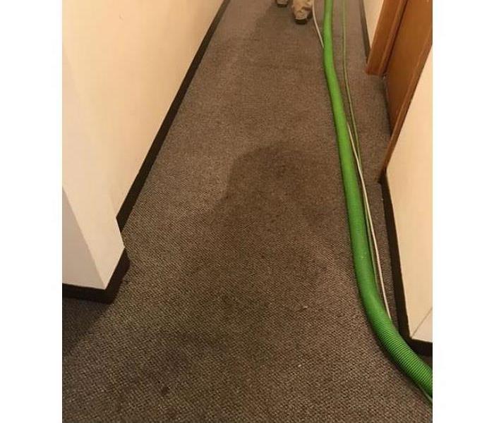 wet hallway carpeting