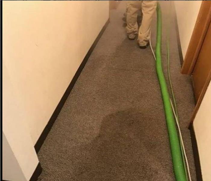 carpet with bio hazardous material