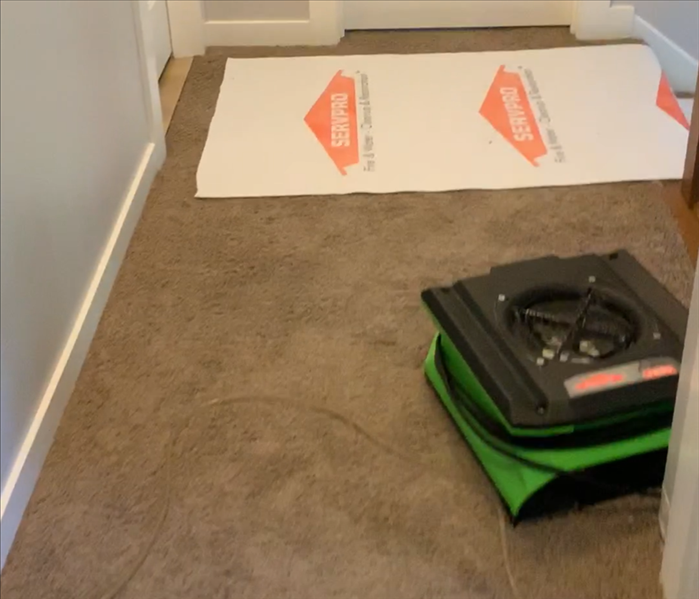 carpeting being dried out from water damage