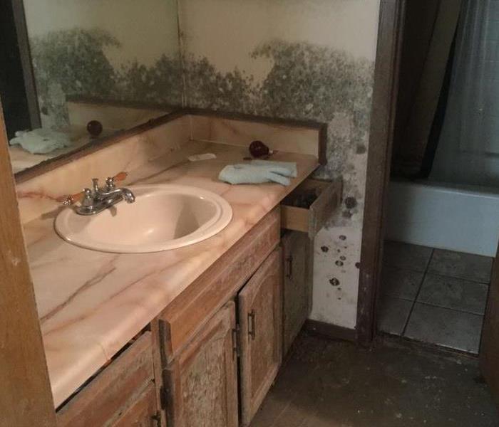 mold on bathroom wall