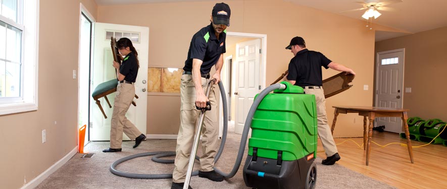 Eagan, MN cleaning services
